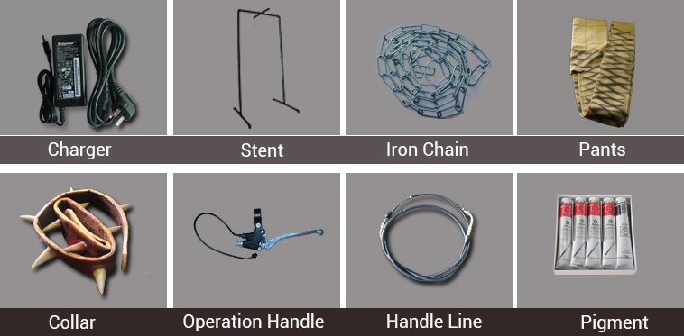 Dinosaur Accessories